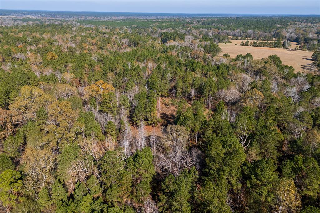 00 County Road 1135 Property Photo 26