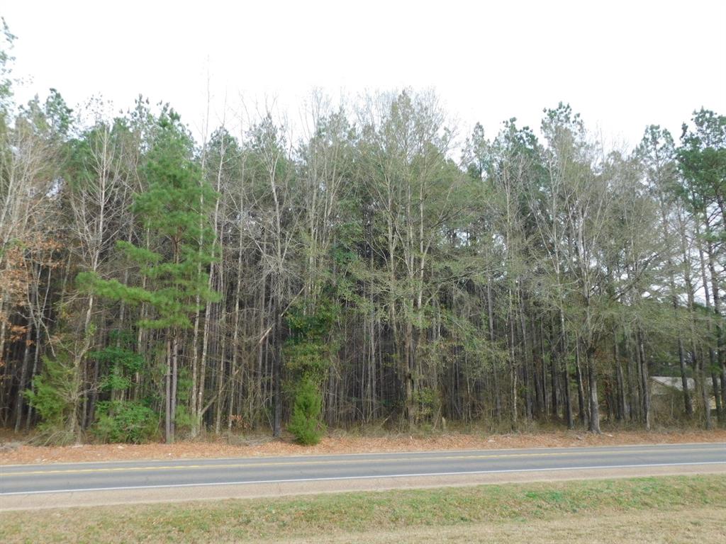25707 Highway 371 Property Photo 23