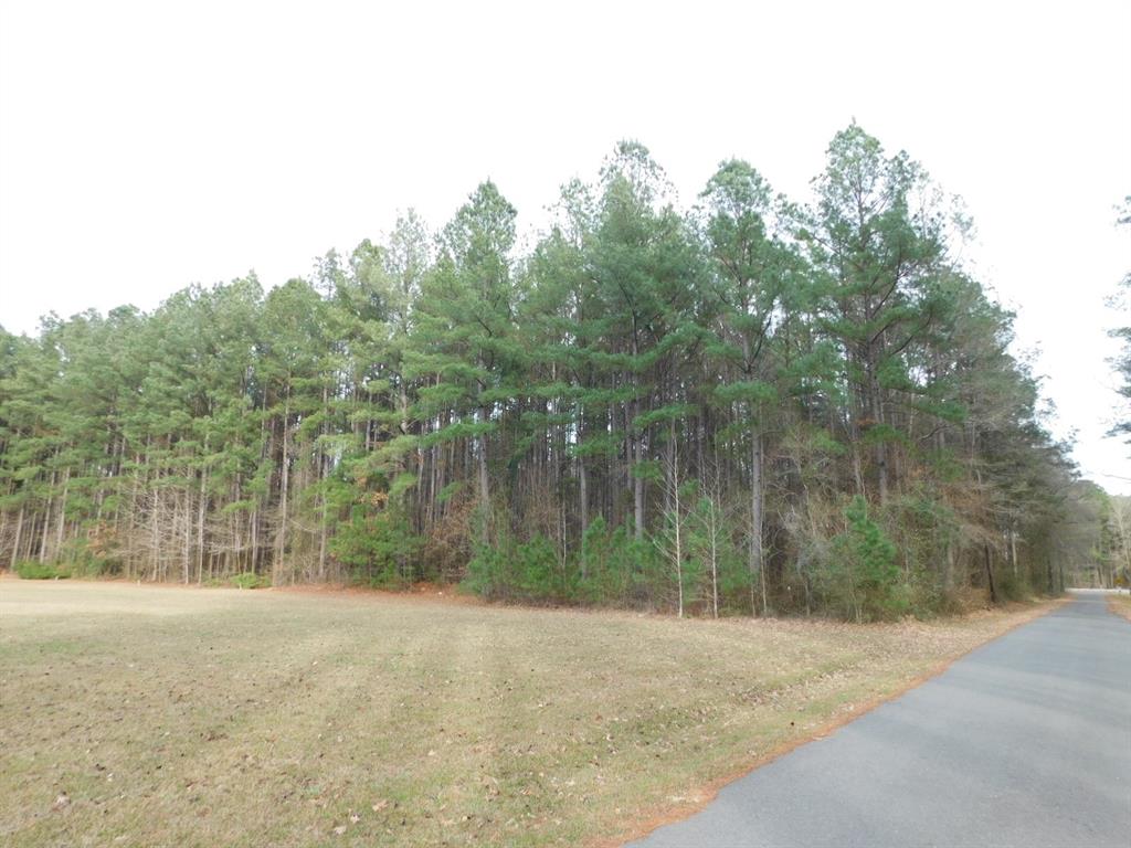 25707 Highway 371 Property Photo 24