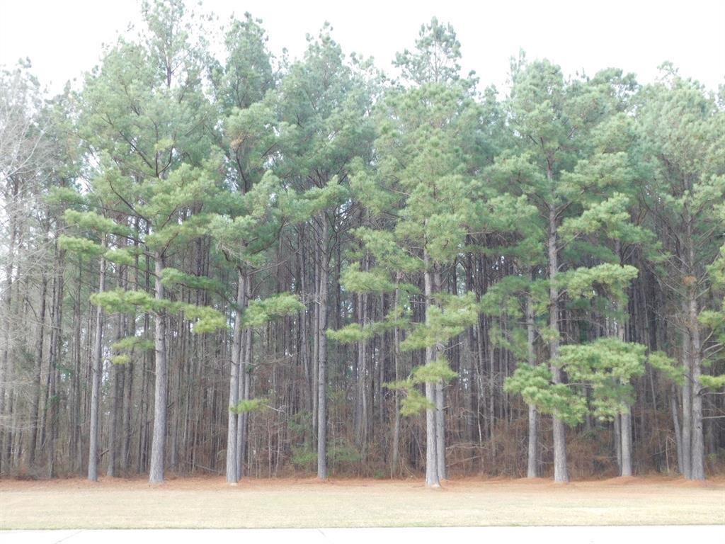 25707 Highway 371 Property Photo 25