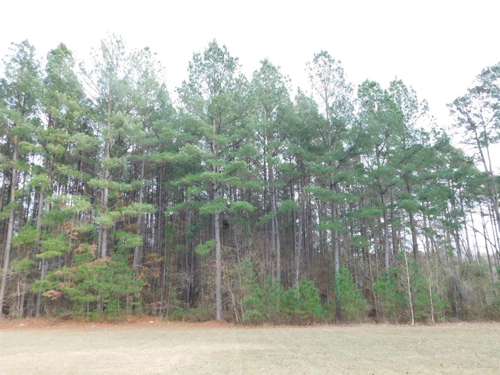 25707 Highway 371 Property Photo 26