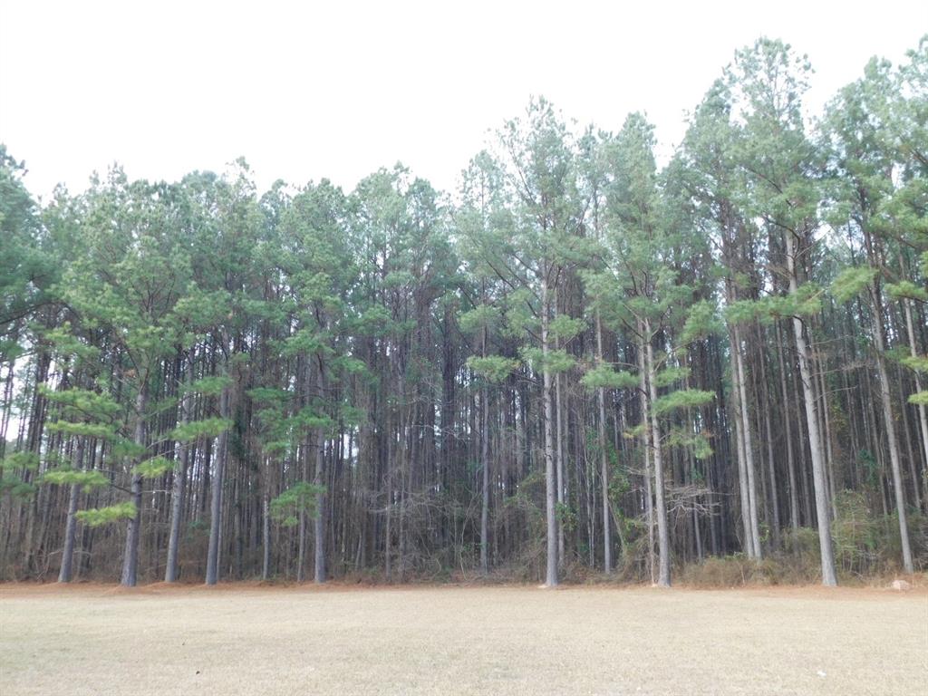 25707 Highway 371 Property Photo 27
