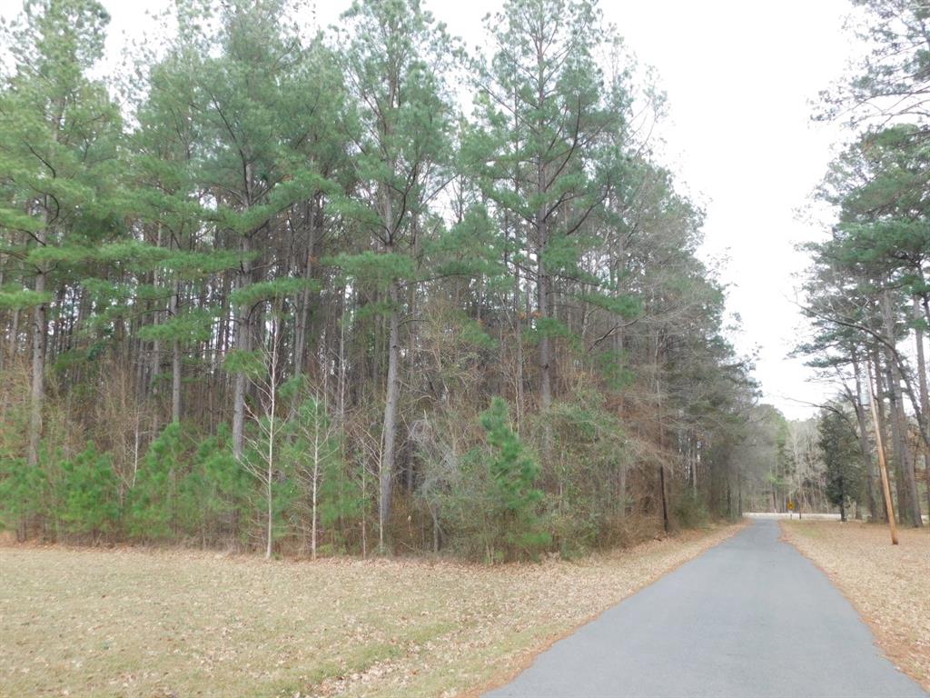 25707 Highway 371 Property Photo 28