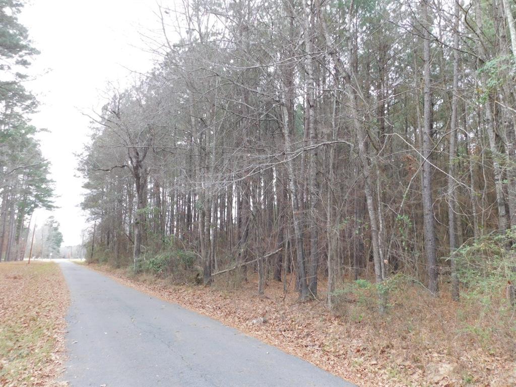 25707 Highway 371 Property Photo 29