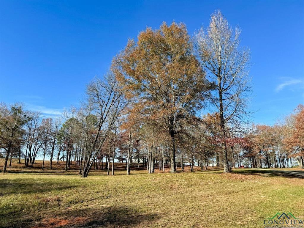 9791 Farm To Market 251 South Property Photo 39