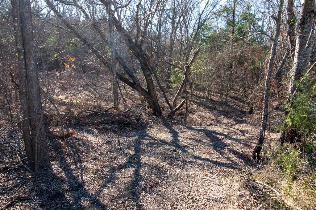 Lot 2 County Road 2905 Property Photo 1