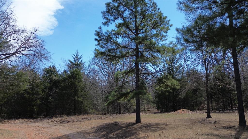 7275 Leavenworth Trail Property Photo 31