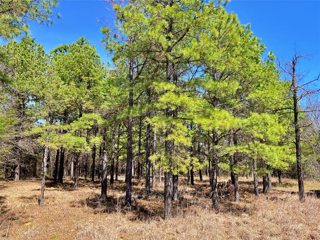 7275 Leavenworth Trail Property Photo 34