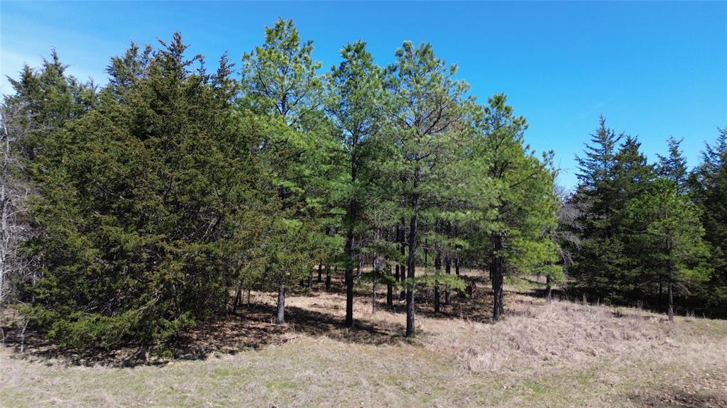 7275 Leavenworth Trail Property Photo 36