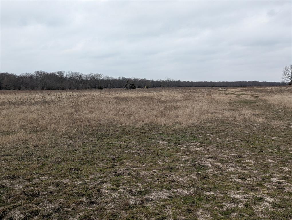 4701 Fm 512 Property Photo 8