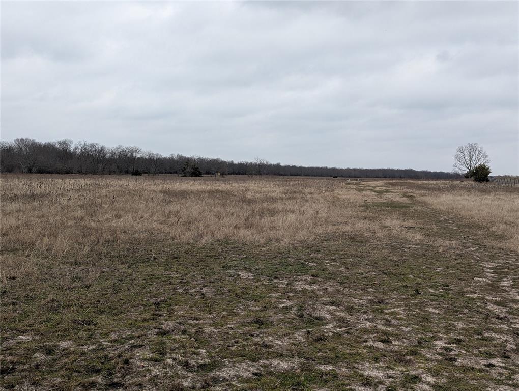 4701 Fm 512 Property Photo 9
