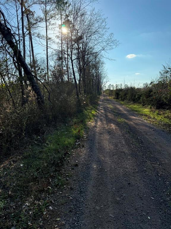 Tbd-a County Road 216 Property Photo 10