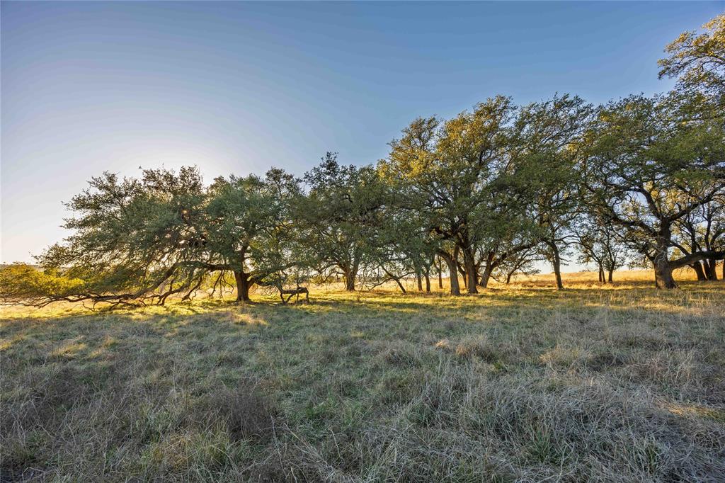 Tbd Comanche Lake Road Property Photo 7