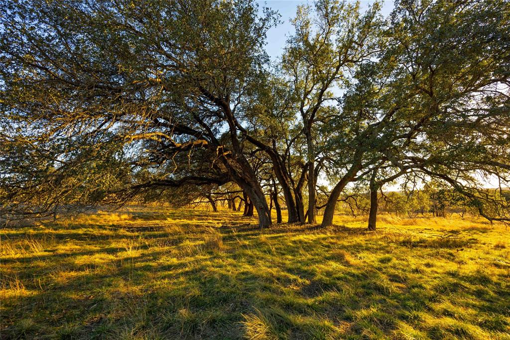 Tbd Comanche Lake Road Property Photo 8