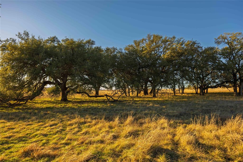Tbd Comanche Lake Road Property Photo 9
