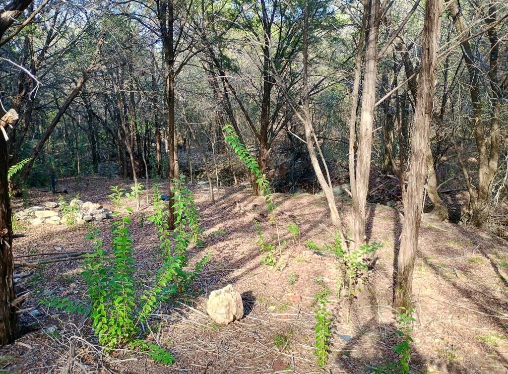 3633 Flint Rock Circle Property Photo 1