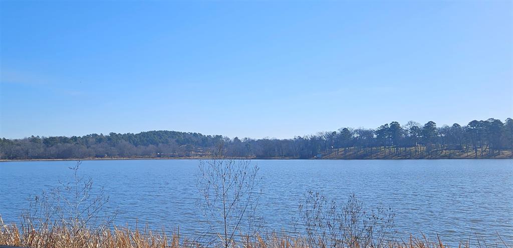 13311 White Tail Drive 1 Property Photo 2