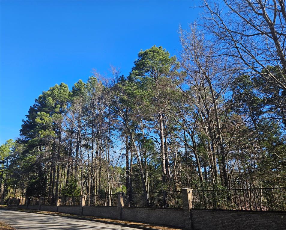 13311 White Tail Drive 1 Property Photo 4