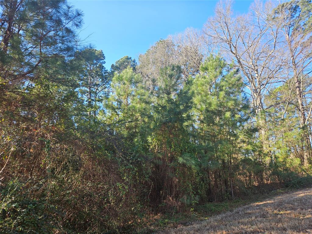 13311 White Tail Drive 1 Property Photo 7