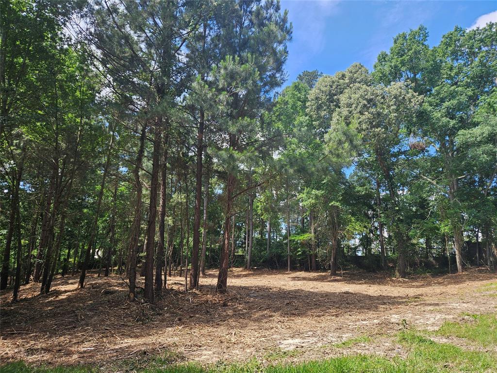 13311 White Tail Drive 1 Property Photo 8