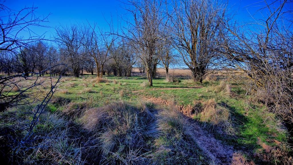 Tbd Hwy 148 Property Photo 30