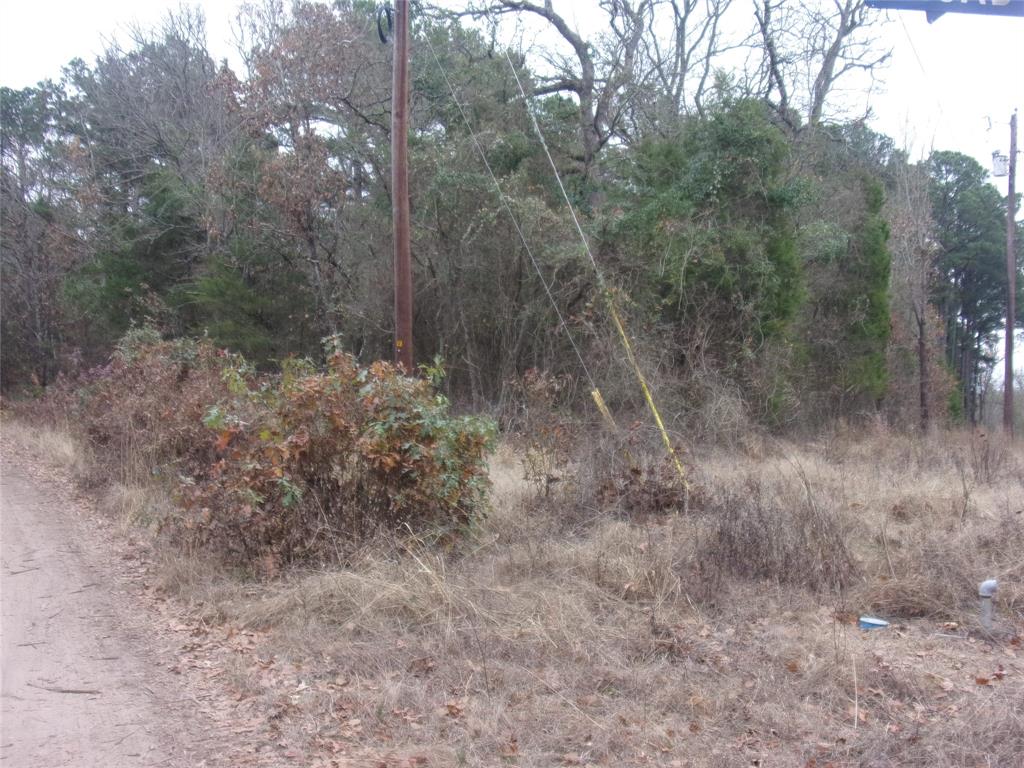 000 Briar Valley Property Photo 1