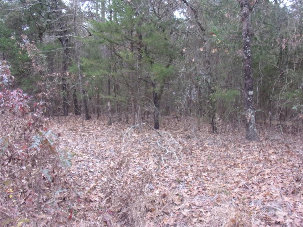000 Briar Valley Property Photo 4