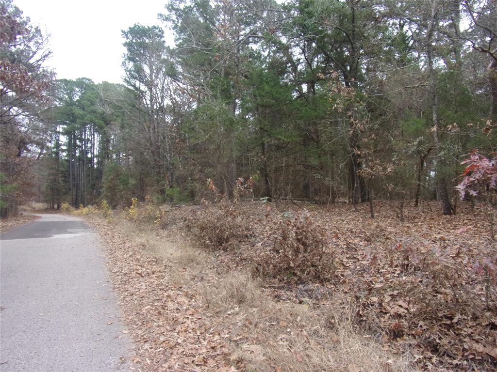 000 Briar Valley Property Photo 6