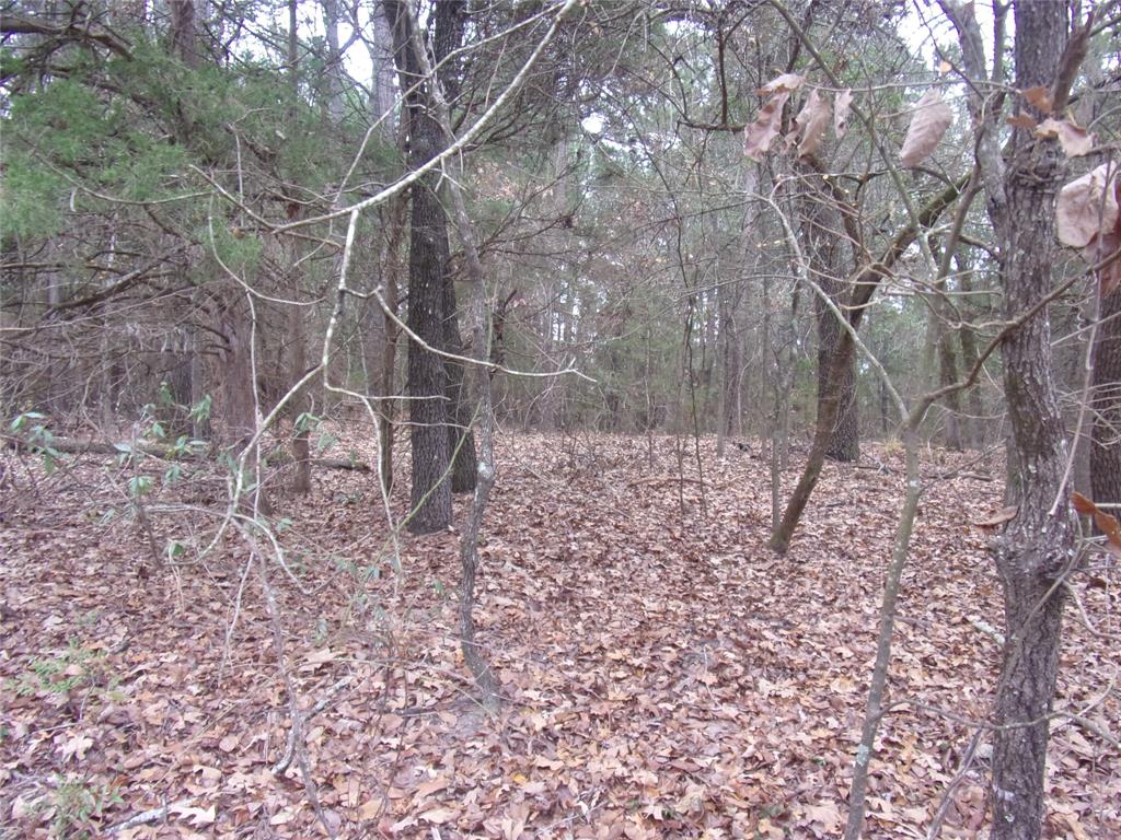 000 Briar Valley Property Photo 7