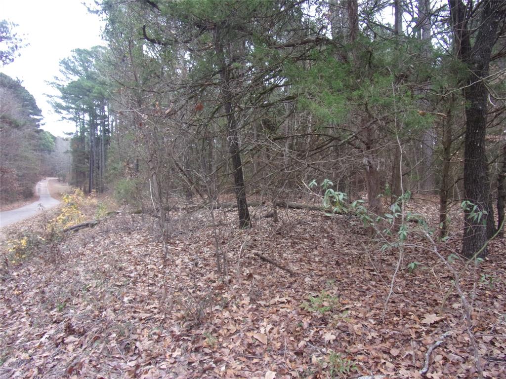 000 Briar Valley Property Photo 8