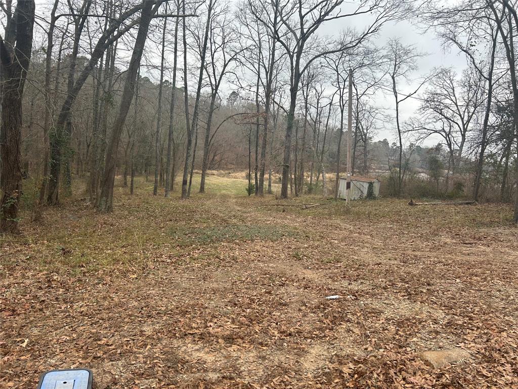 7 Sandy Lake Property Photo 1