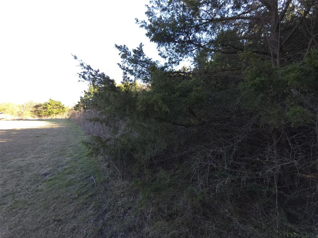 1816 Harrison Street Property Photo 4