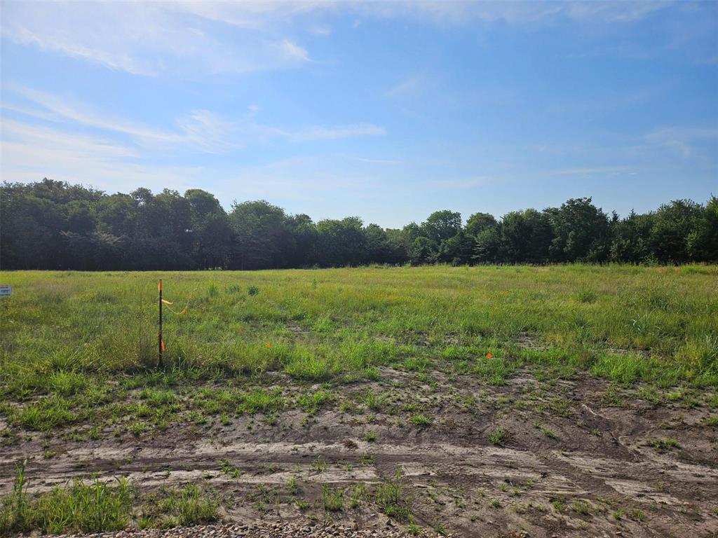 0 Hayfield Court Property Photo 1