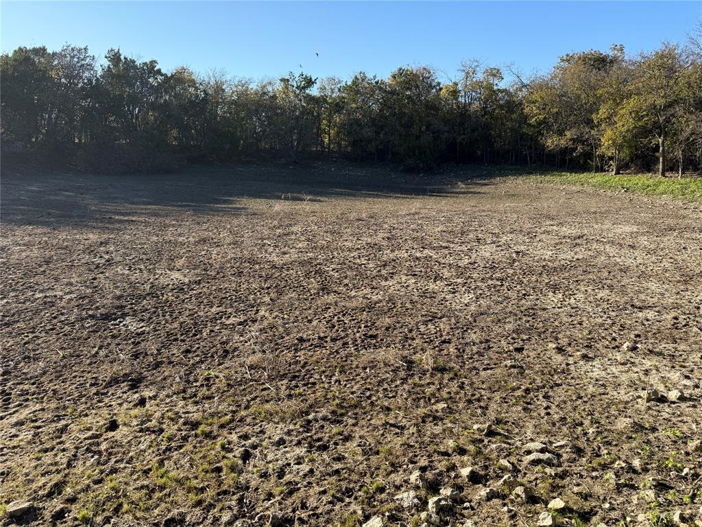 No # County Road 225 Property Photo 6