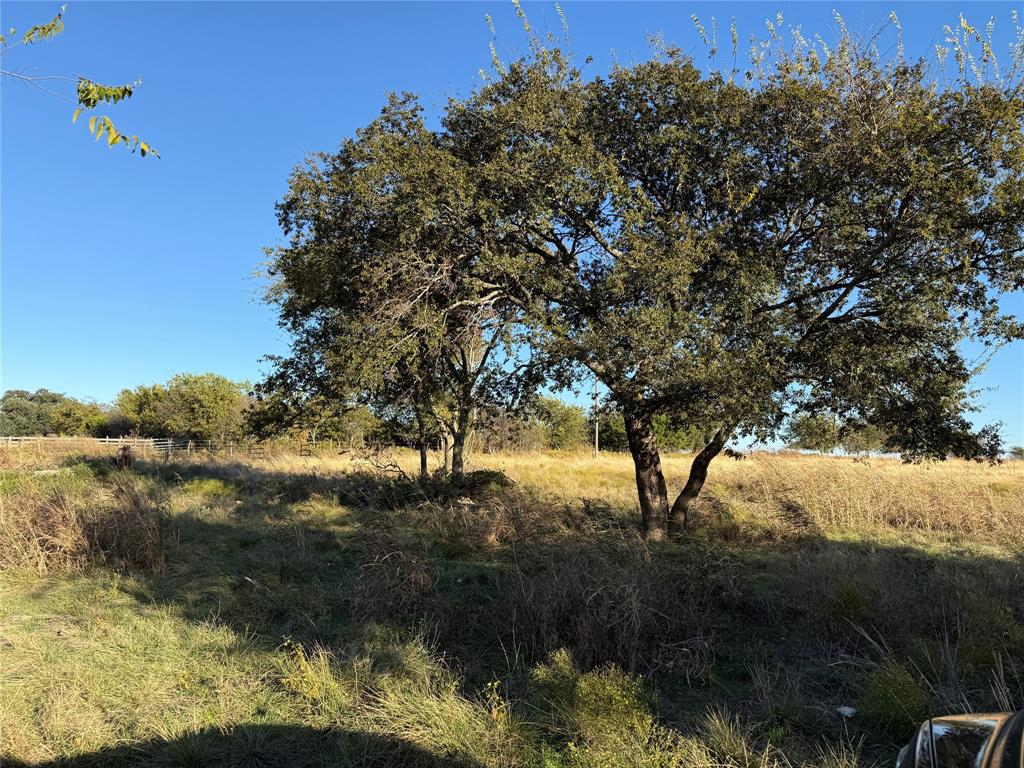 No # County Road 225 Property Photo 7