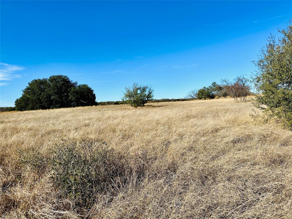 8655 Cr 452 Property Photo 20