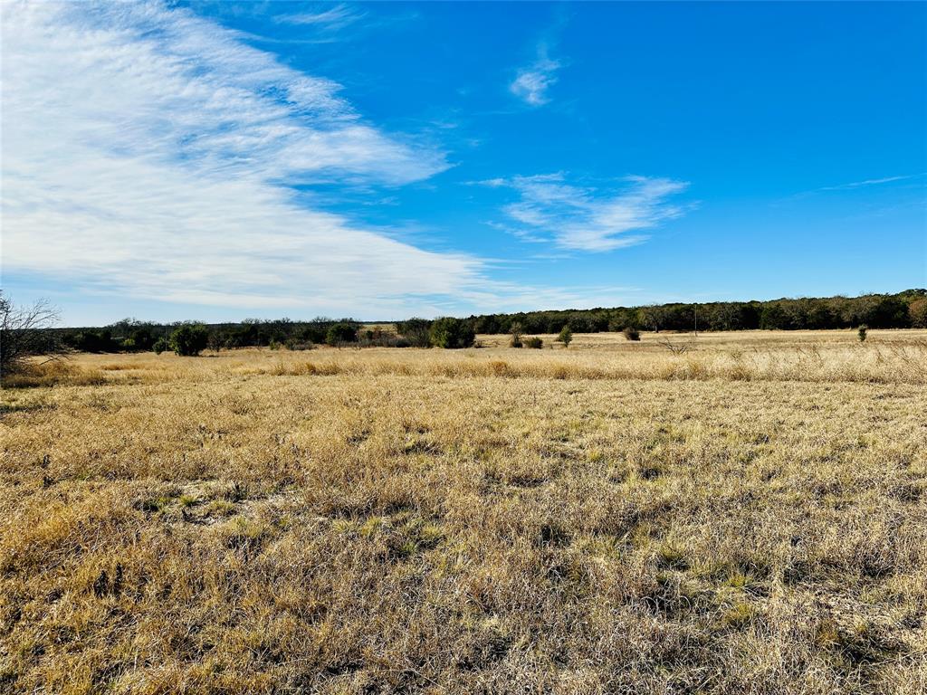 8655 Cr 452 Property Photo 24