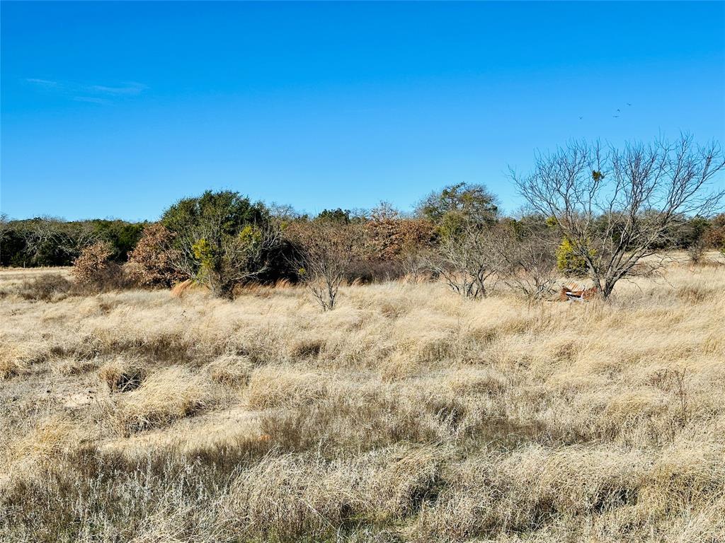 8655 Cr 452 Property Photo 29