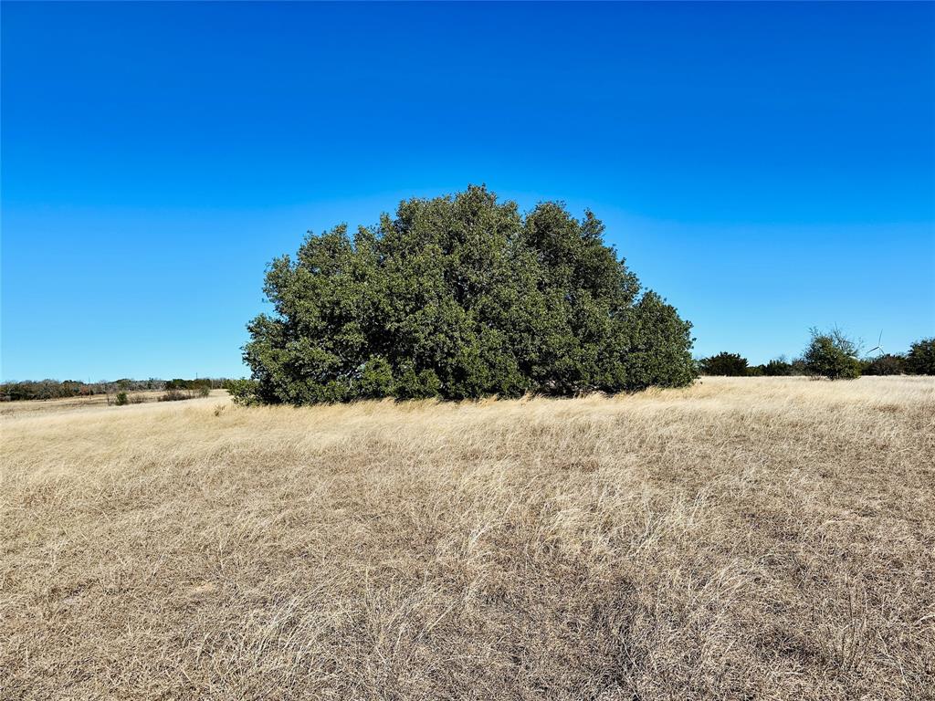 8655 Cr 452 Property Photo 30