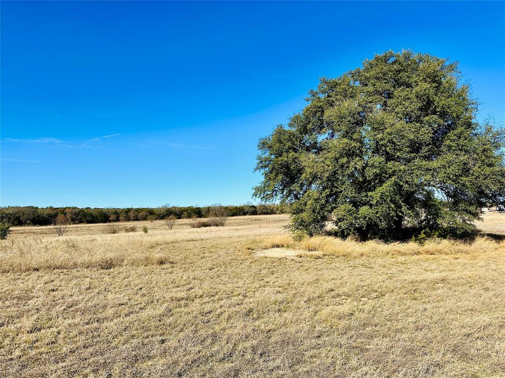 8655 Cr 452 Property Photo 34