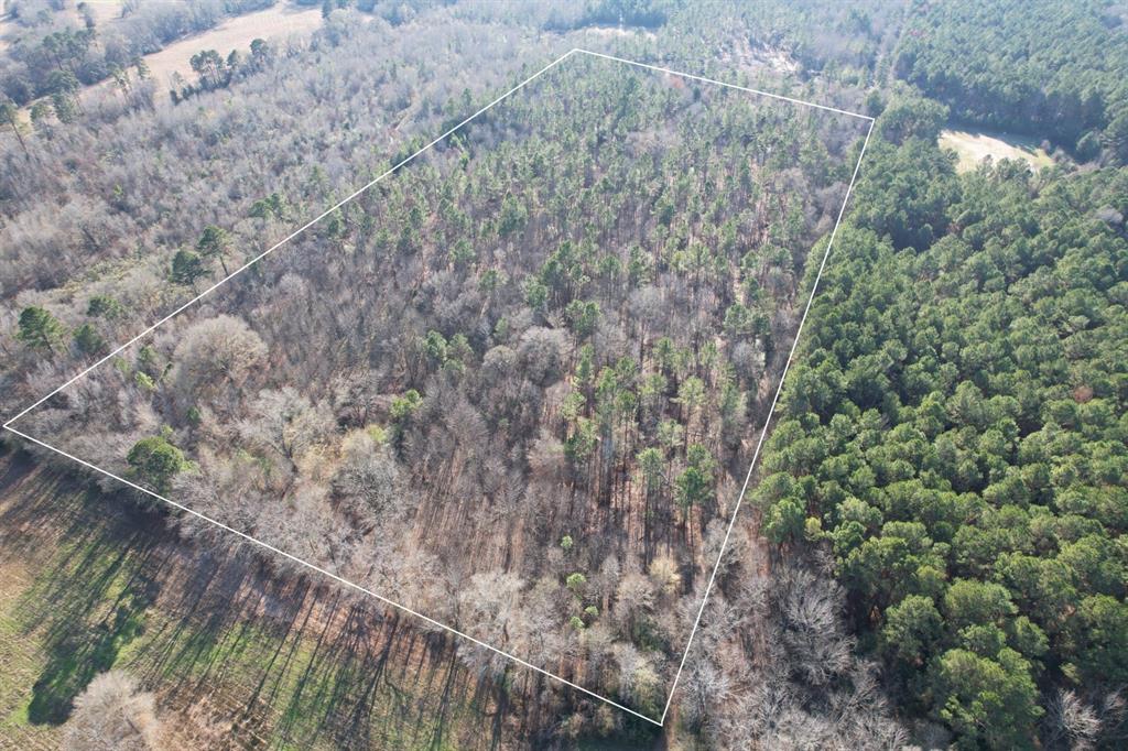 Tbd-e County Road 216 Property Photo 1