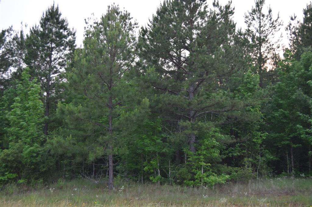 #1 Ryans Way Property Photo 1