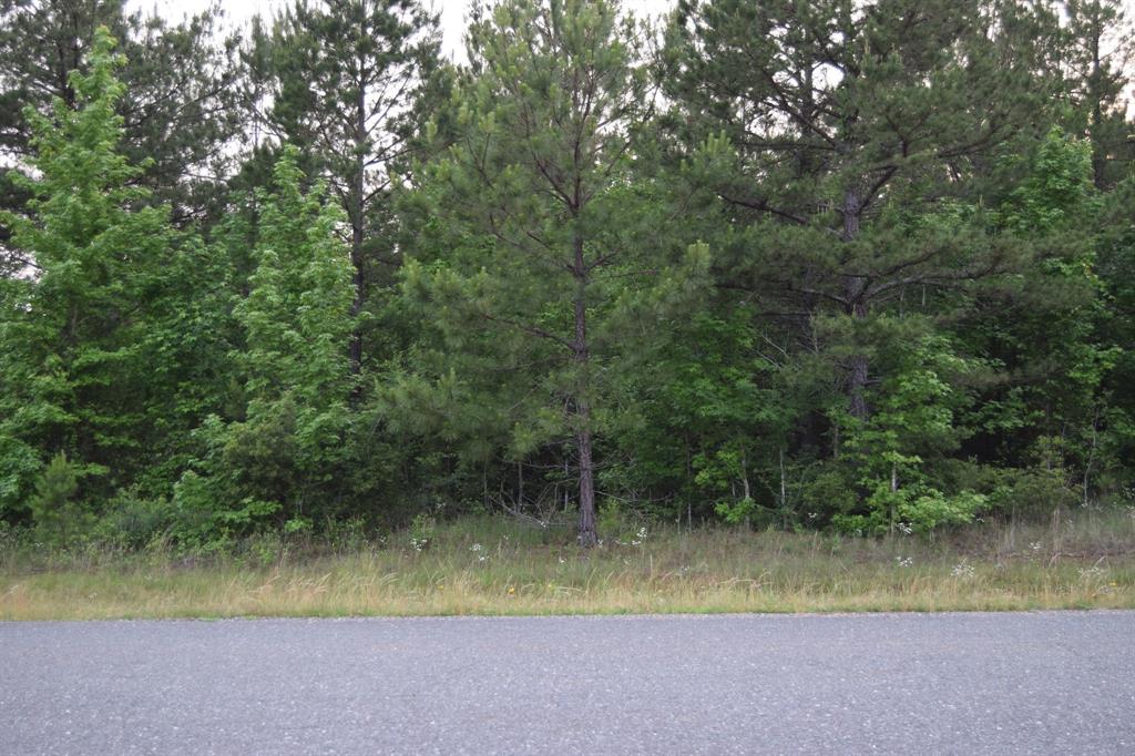 #1 Ryans Way Property Photo 4