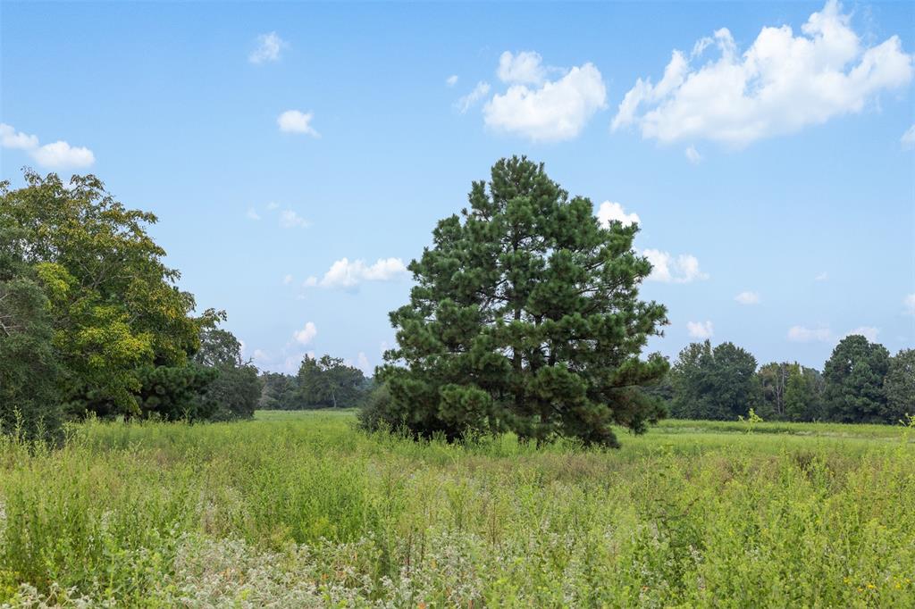 Tr 45 Pr 1315 Property Photo 23