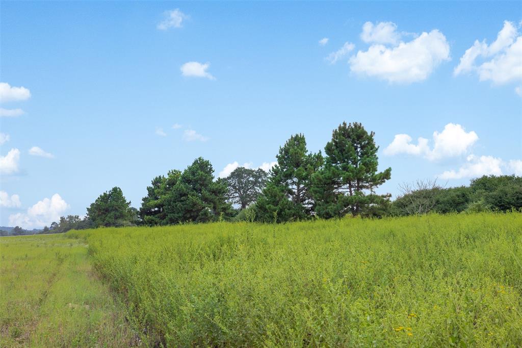 Tr 45 Pr 1315 Property Photo 28