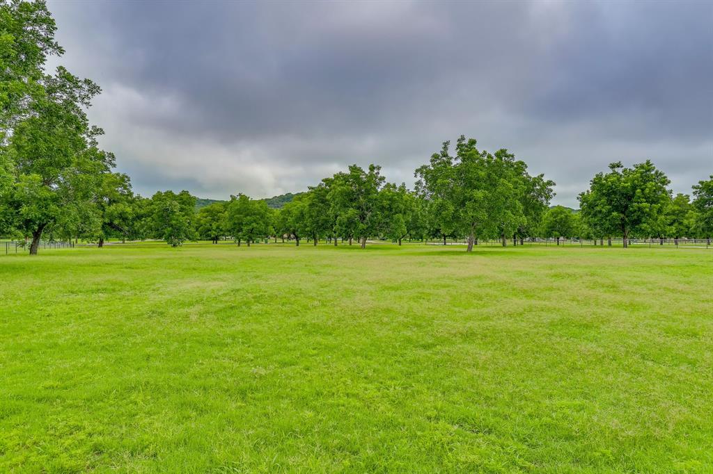 11015 Orchards Boulevard Property Photo 1