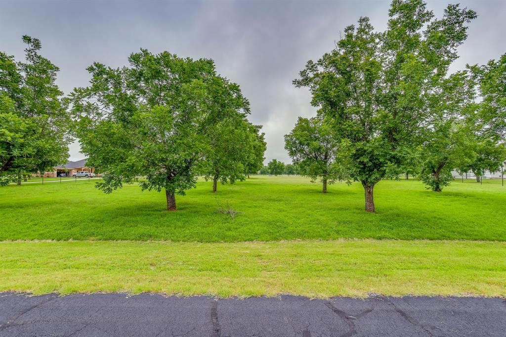 11015 Orchards Boulevard Property Photo 4