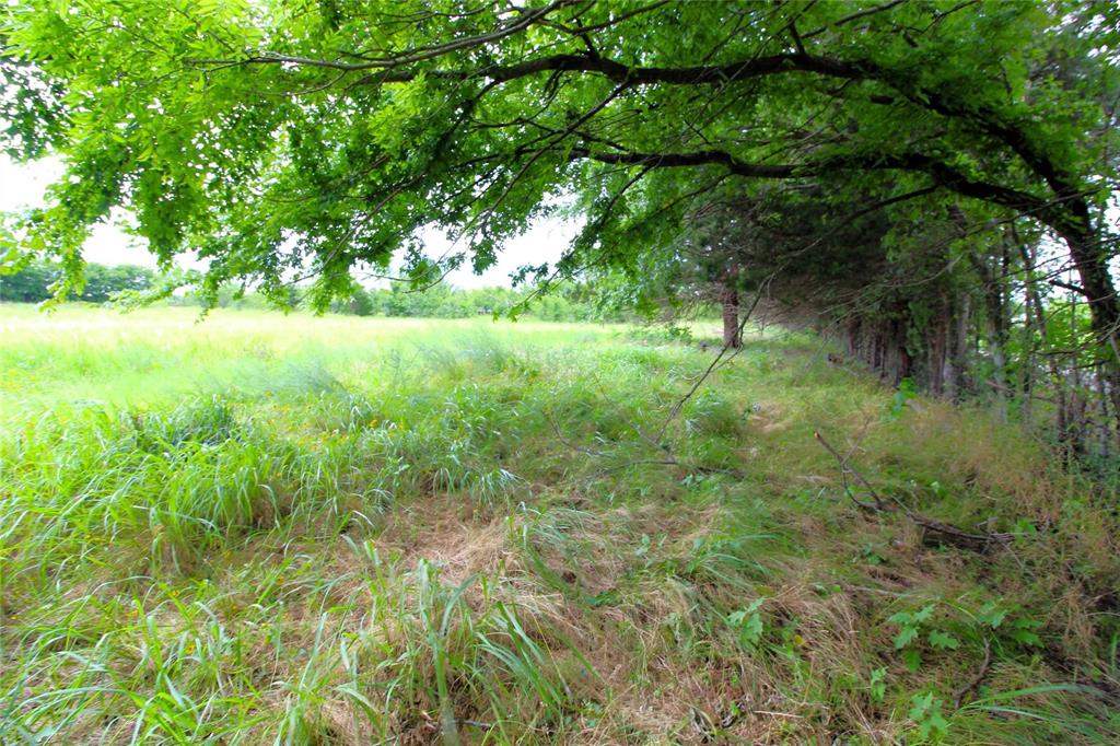 Tbd Cr-4079 Property Photo 6