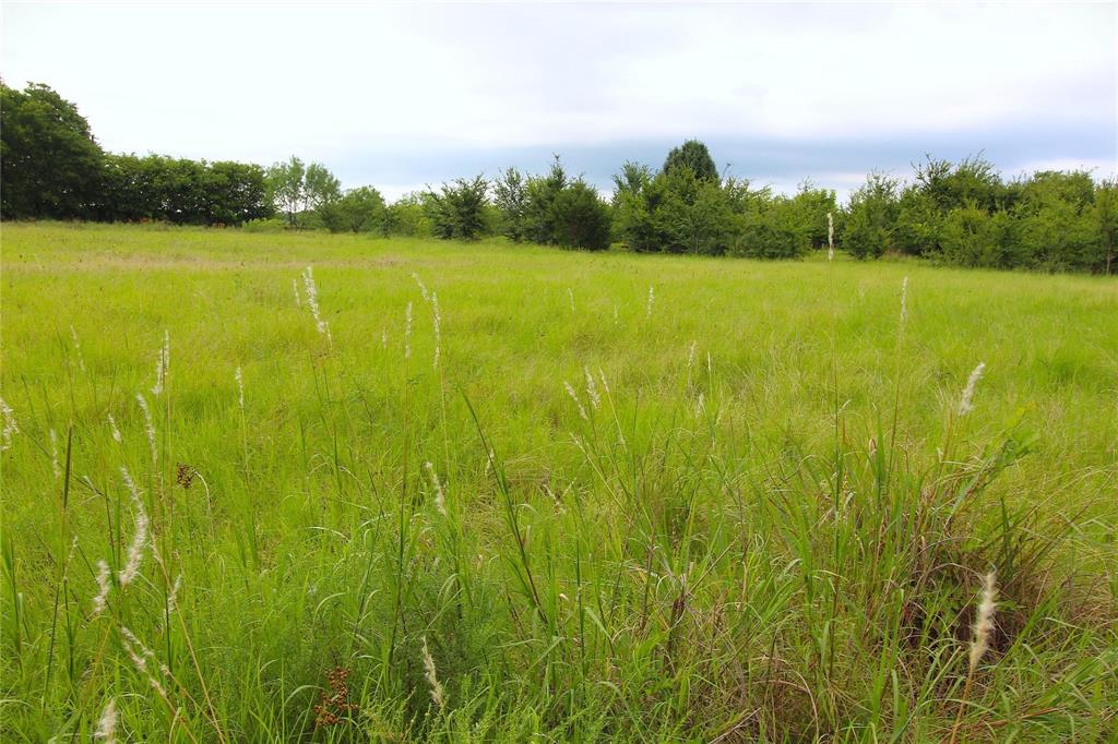 Tbd Cr-4079 Property Photo 11