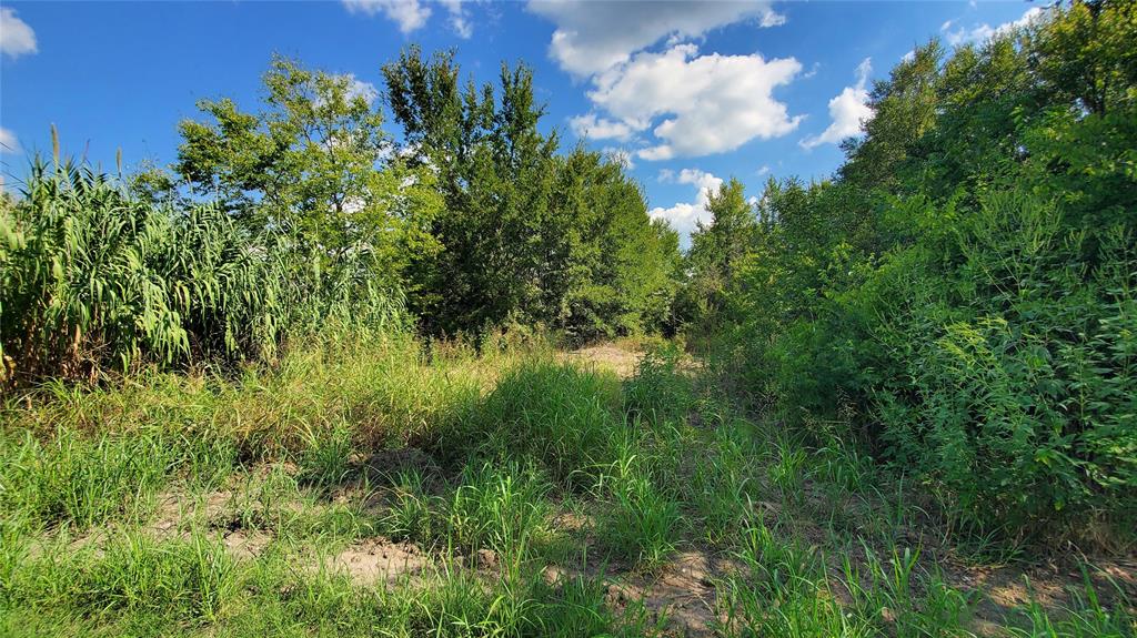 0 Cr 4070 Property Photo 32